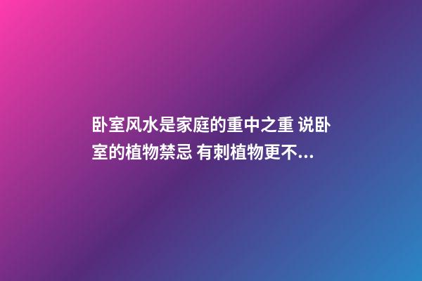 卧室风水是家庭的重中之重 说卧室的植物禁忌 有刺植物更不宜摆在